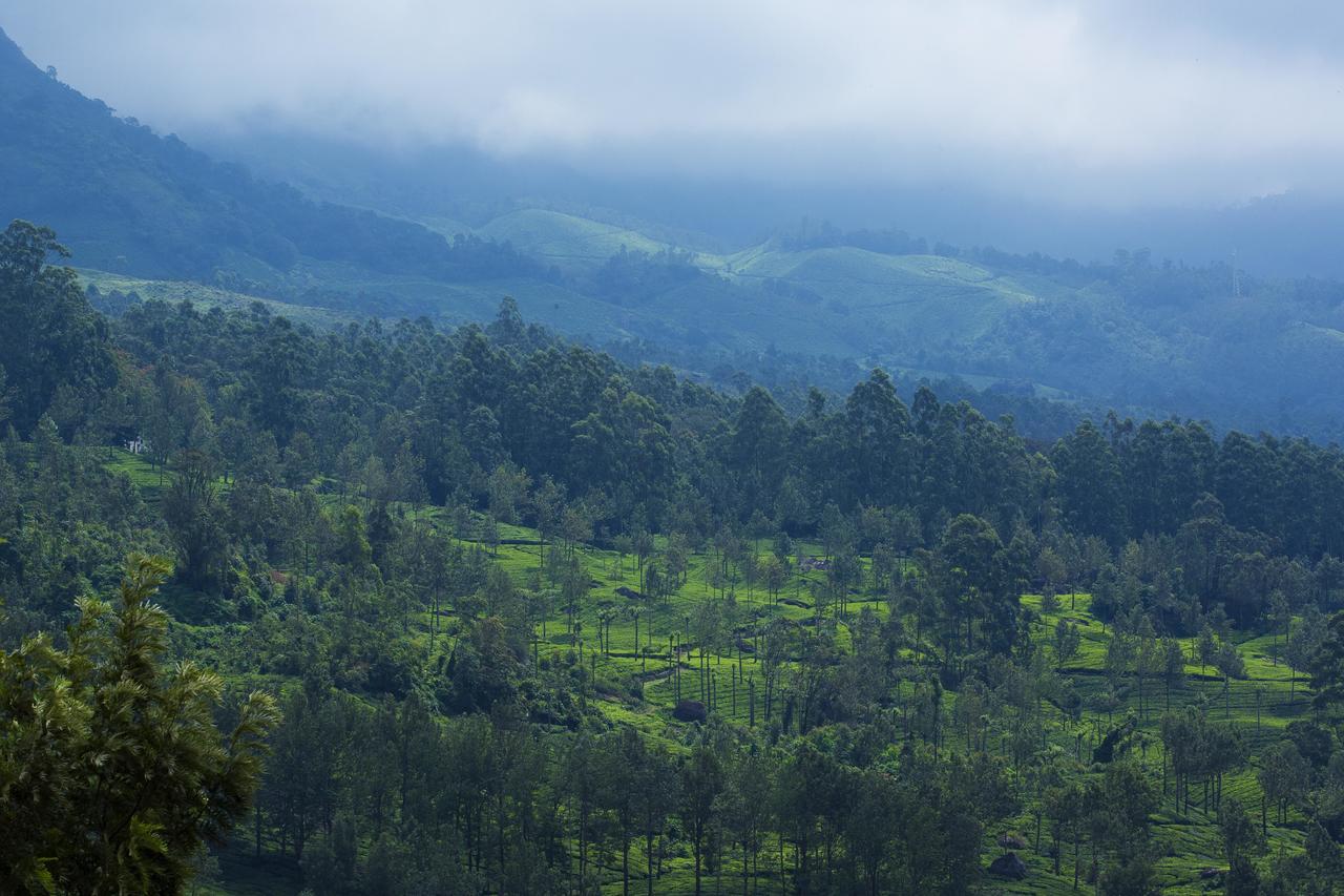 Mount View Munnar Hotel Esterno foto